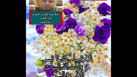 تلاوة مباركة لما تيسر من آيات الذكر الحكيم للقارئ الشيخ محمد أبو اليزيد المصري