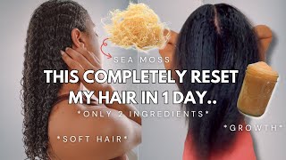 MONTHLY RESET| Full Deep Condition Routine for Hair Growth + Moisture (short or long hair)
