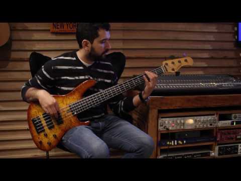 Flávio Guedes -
