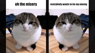 oh the misery (wawa cat) - enemy (HD Sync)