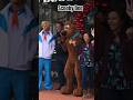 Scooby Doo Where are You #shortvideo #universalstudios