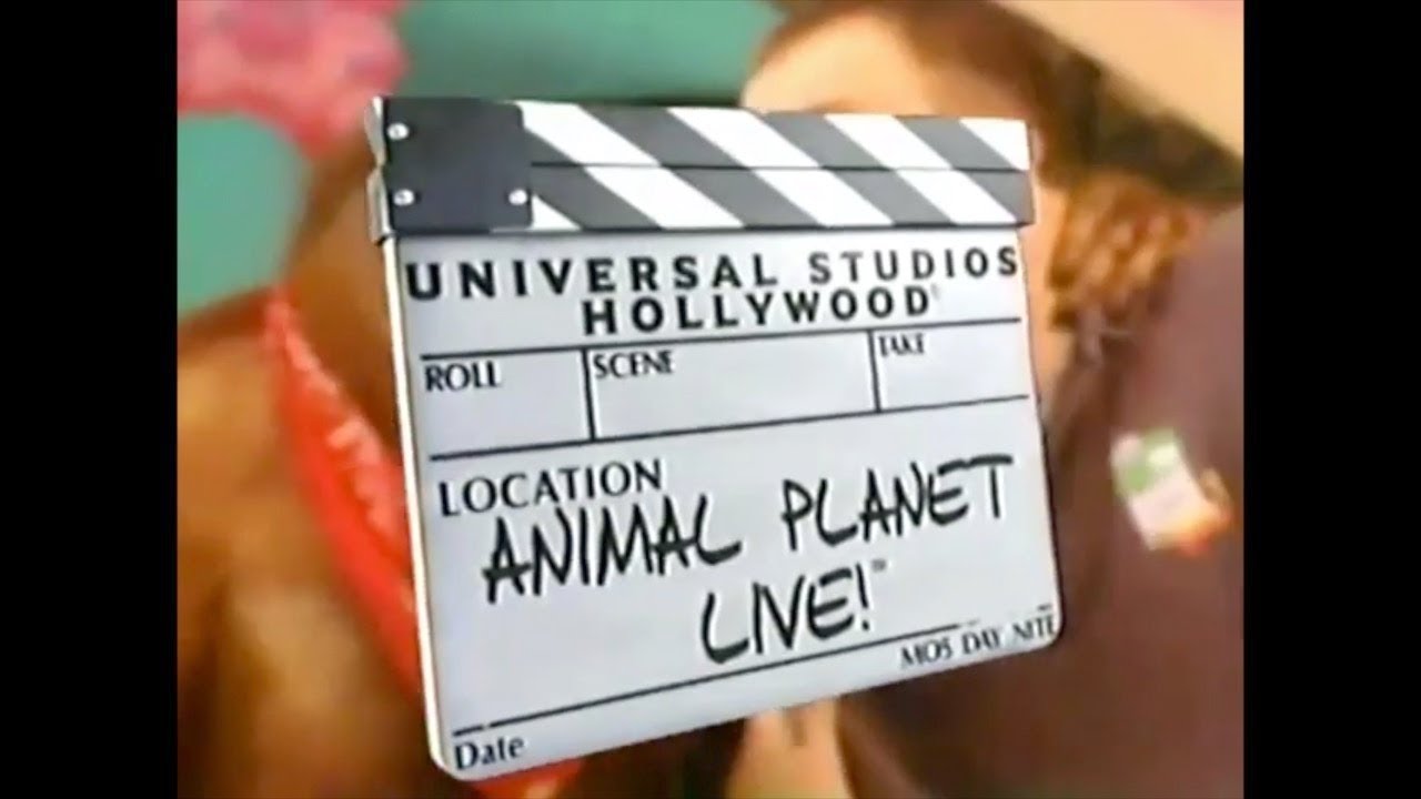 Animal Planet Live! at Universal Studios Hollywood (2001) - YouTube