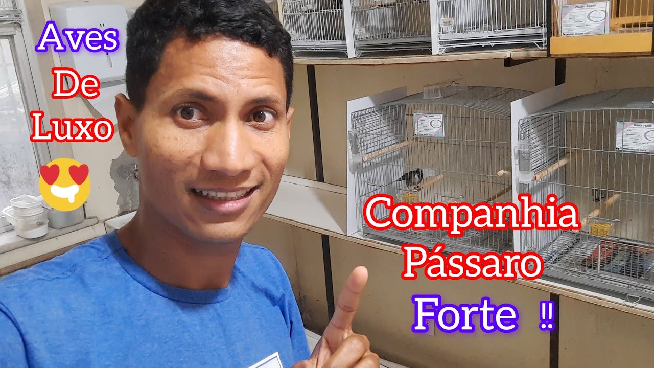 COMO COMPRAR COLEIRO TRINCA FERRO E AZULÃO REGISTRADO ??