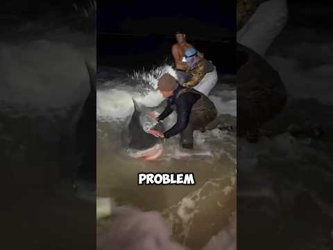 This Guy Almost Lost His Hand Because Of This Shark Shorts