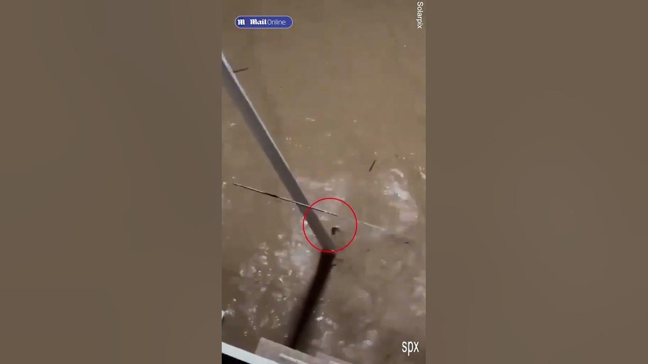 Devastating footage shows people swept away in Spanish flash flood 💔
