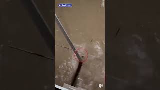 Devastating Footage Shows People Swept Away In Spanish Flash Flood 💔