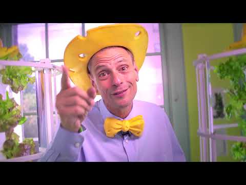 Where in the World is Stephen Ritz?