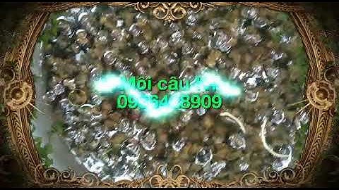 Cách ủ Ốc câu Trắm Đen đúng kiểu ( MỒI CÂU K+...0936428909 )