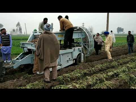 Video: Potato Digger Para Sa Isang Walk-behind Tractor (37 Mga Larawan): Mga Tampok Ng Screening (panginginig), Sinturon, Bentilador At Mga Modelo Ng Drum-type. Paano Pumili