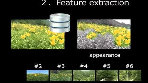 Video Scene Analysis Technology