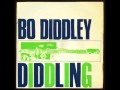 Bo diddley  i can tell