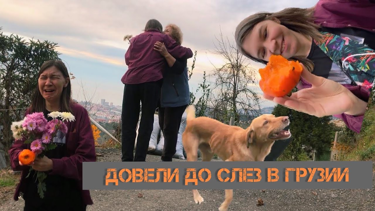 Церковь Самеба/ растрогали люди/ добродушие и гостеприимство Грузии/ туристы/ вино и мандарины