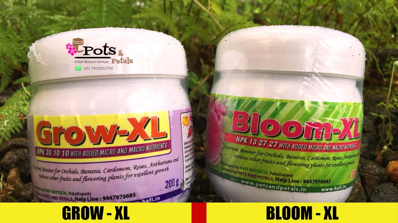 Grow XL and Bloom XL Fertilizer | Pots and Petals