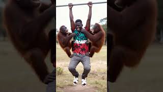 naimani uta furaia tu