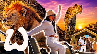 Our Safari Adventure Continues! 🇿🇦🦁 | Winnie Wong