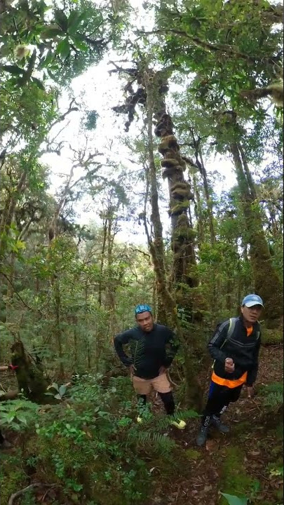 Kalau jalannya cuma lurus dan mulus, apa tantangannya? 