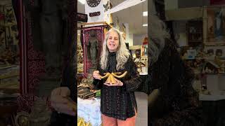 The Show: Back Again November & December 2025! – From Bali to Bala