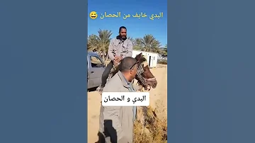 احمد البدي خايف من الحصان 