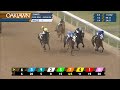 Oaklawn park feb 2 2024 the 32nd running of bayakoa stakes