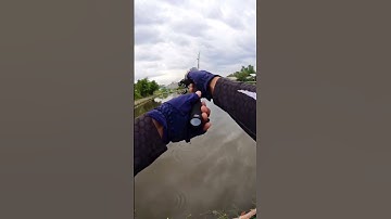 Cá sắt câu nổi ??? #gianglure