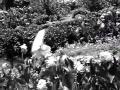 SARASWATI CHANDRA 1968 phool tumhe bheja hai khat mein Lata Mukesh Kalyanji Anandji Indeevar