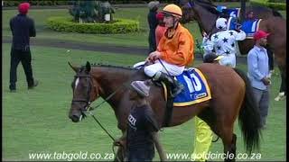 20180314 Greyville Race 8 won by ZINZARA