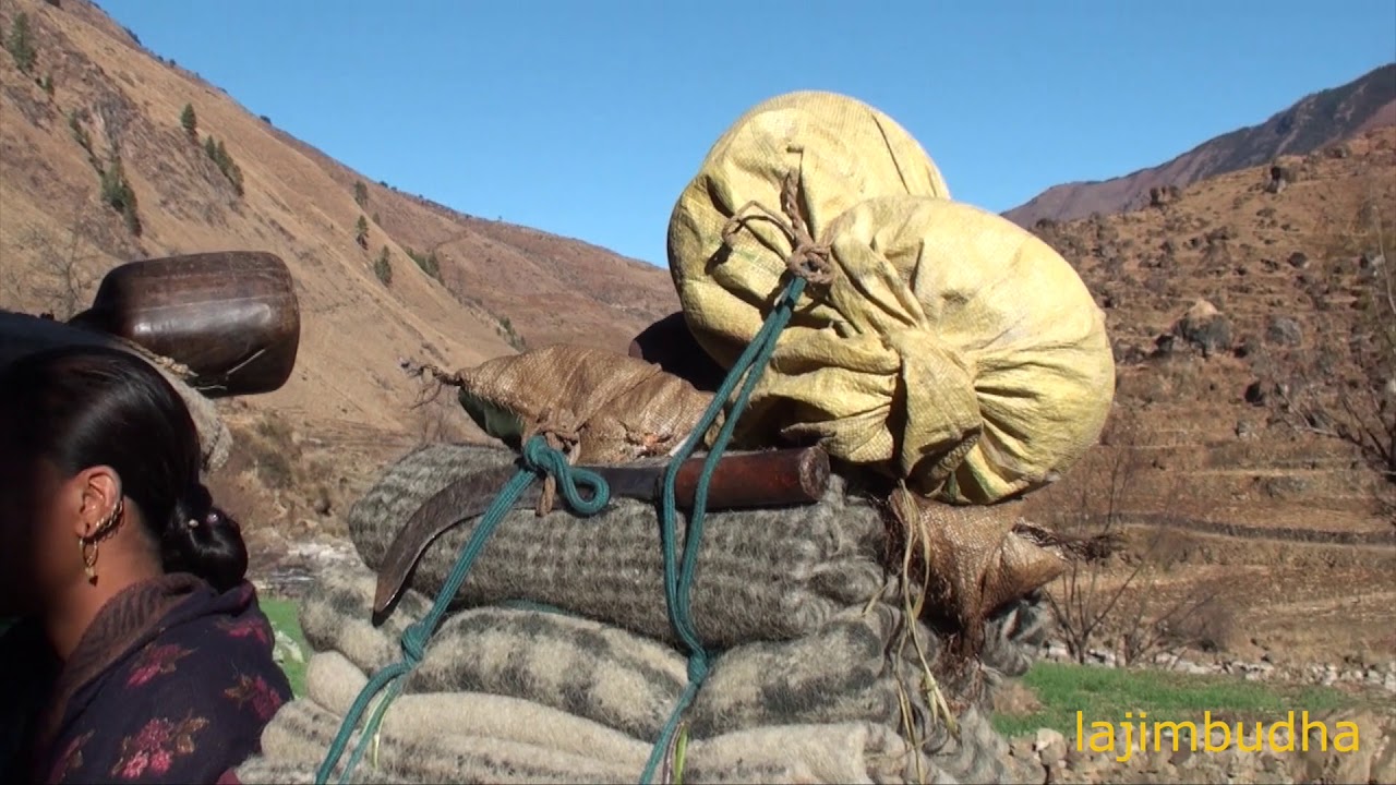 himalayan traders village life himalayan life himalayan