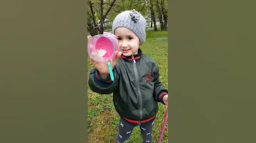 Бабочка капустница.