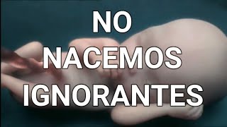 NO NACEMOS IGNORANTES