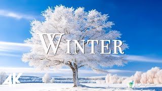 Зима Wonderland 4K UHD - Красивый зимний природа расслабляющий фильм с мирной расслабляющей музыкой