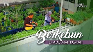 Berkebun di Atas Atap Rumah | Bumiku Satu (Part 1)