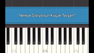 Nereye Gidiyorsun Küçük Tavşan?