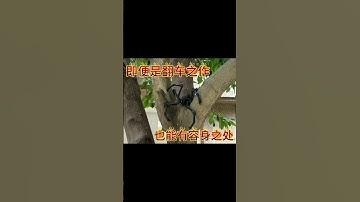 3d打印 | 这些翻车的作品，拿来拍照还是挺不错的。回头我打印点婀娜多姿的试试～ #3d打印 #3dprinting #3dprint