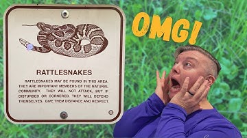 HOW TO Handle SNAKES on the Trail | Snake Bite Tips and Tricks | How To Avoid Snakes While Hiking