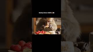 Tiny bites, big ASMR vibes 🐒🍎#asmr #monkeyasmr#animalasmr #aivideo #foodasmr #satisfying#explorepage