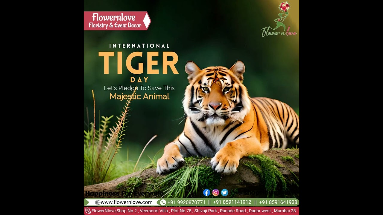 International Tiger Day