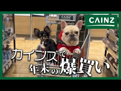 【爆買い!】愛犬たちと年末の買い出しをしにカインズへ!
