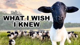 LAMBING SEASON FOR BEGINNERS (How to Raise a Small Flock of Sheep)