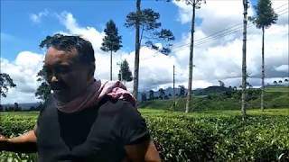 Lagu Karo "KINISERAN" Cover Song : ROBERT DEPARI - immanuel pinem