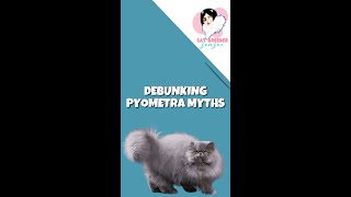 Myths about Pyometra