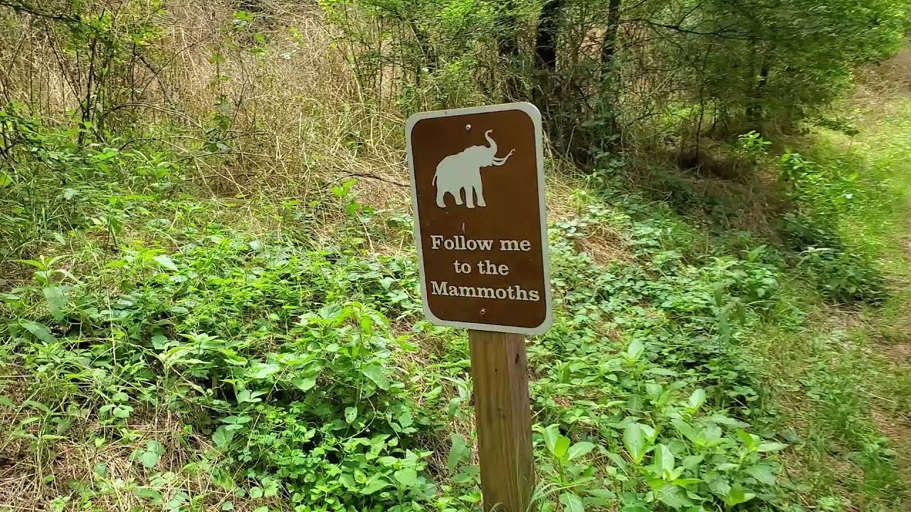 camera iphone 8 plus apk ETM-016 Welcome To Pleistocene Park - Escaping The Mouse