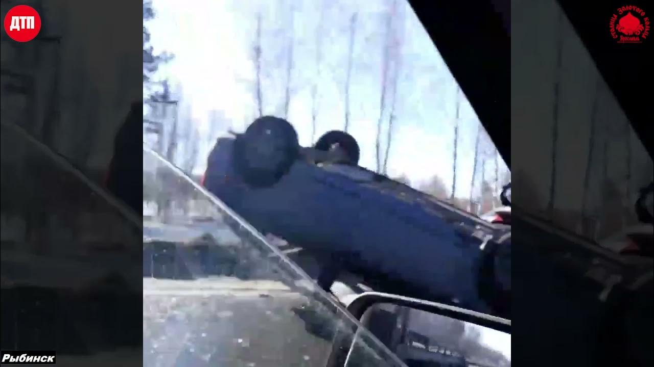 Происшествия в рыбинске вчера. Авария нв рибински в машину лось влетел. 03. Авария на академика губкина рыбинск. 30 апреля дтп рыбинск 2023 года.