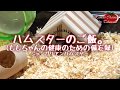 ハムスターのご飯。 ももちゃんの健康のための備忘録【ハムスターの育て方】