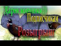 Фазаны /// Как едят Фазаны /// Розыгрышь /// Красивые кадры ///