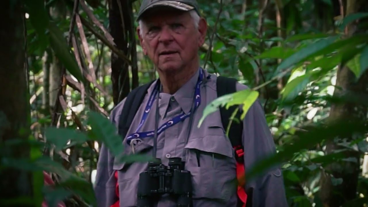 Explore cruises in the Amazon Peru