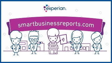 How to Access Your Experian Business Credit Report