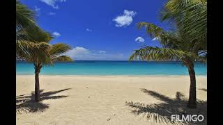 A LA DECOUVERTE DE COCOBEACH AU GABON EN AOUT 2021