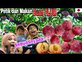 PETIK DAN MAKAN BUAH PLUM | PANEN BUAH DI KEBUN KAKEK JEPANG. YAMANASHI TRIP #1 | TIKATAKI VLOG