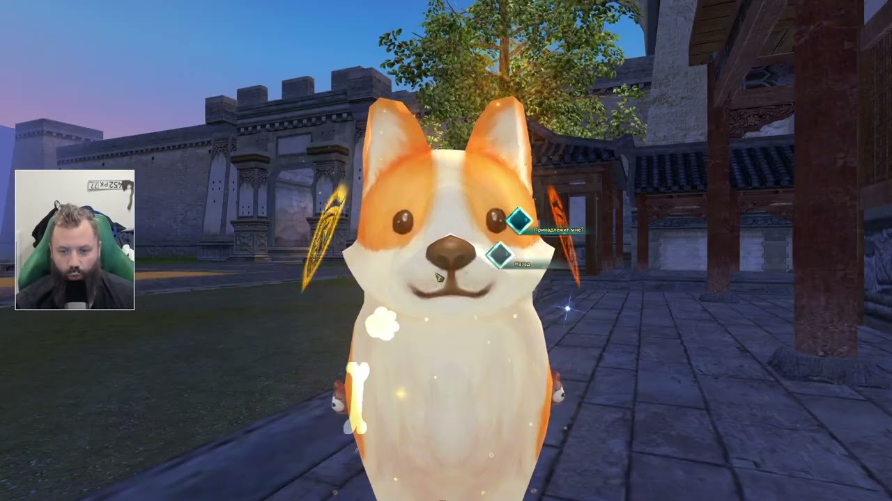 КАК ДЕЛА НА МАГЕ?! БУСТЫ БЕЗ ДЕНЕГ НИ КТО НЕ ОТМЕНЯЛ!  ВЫЖИВАНИЕ БЕЗ ДОНАТА №14 В PERFECT WORLD