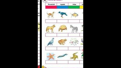 STD 5 EM ENV L 5 WONDERFUL WORLD OF BHOLU P 2 URVI POPAT